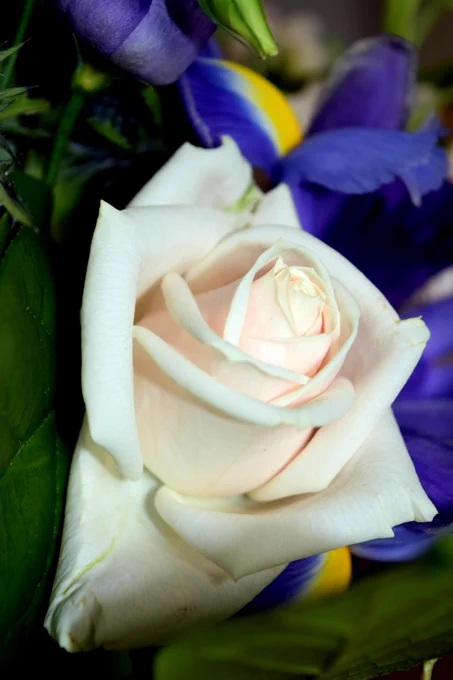 Image from The Olive Tree Cancer Support Group Charity (@OliveTreeCSC)