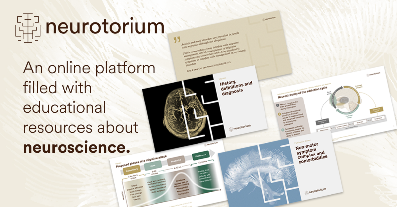 Neurotorium is your new point of reference for educational content on #psychiatry, #neurology and #neuroscience. 🧠

Find articles, slide decks and more materials that can be freely used and downloaded.

Discover Neurotorium here 👇