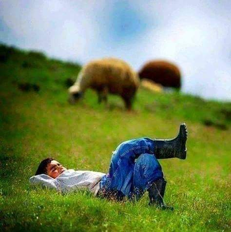 Wasem_w8's tweet photo. #صورة_ملف_شخصي_جديدة https://t.co/lmPEp0P3P2