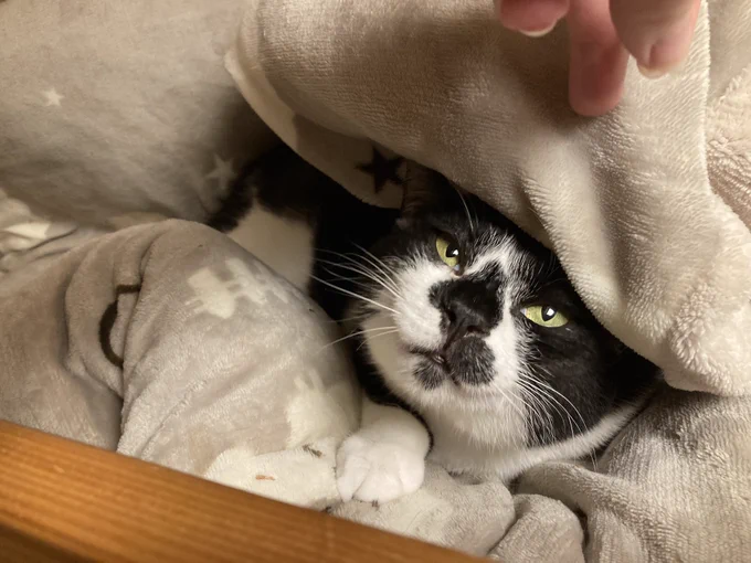 満喫してます 