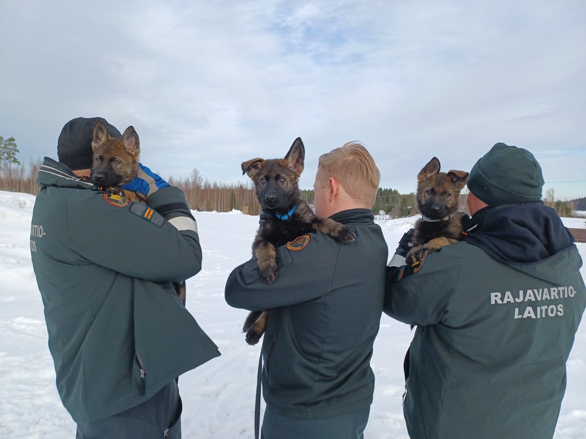 Kaakkois-Suomen raja tweet media