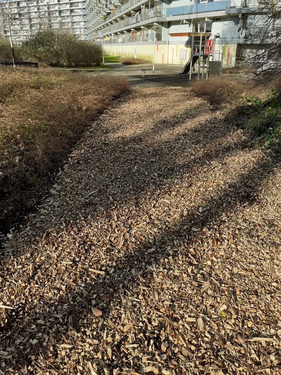 Deze periode worden de snipper paden weer aangevuld met verse snippers. De snippers zijn afkomstig van  het snoeiwerk in de wijk. #werkenbij#HOEK#recycling#biodiversiteit