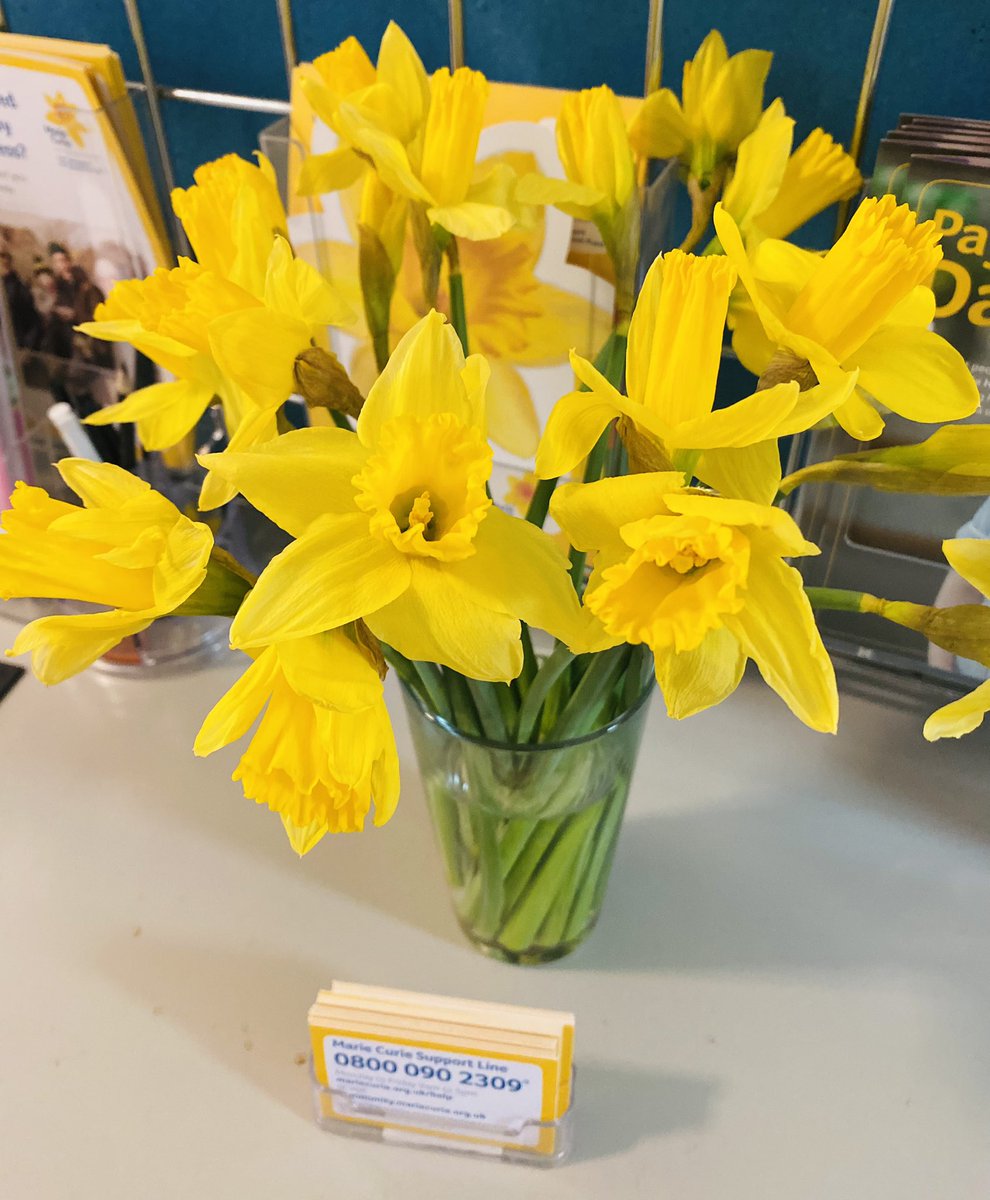 Roses 🌹, who needs #ValentinesDay roses when you can have #daffodils from <a href="/SPARNI/">SPAR NI</a> with a donation on every bunch for <a href="/MarieCurieNI/">Marie Curie NI</a>