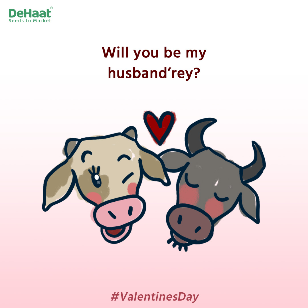 DeHaatTM's tweet photo. How #Agriculturist propose on #Valentine’s day
#ValentinesDay #February #agriexperts #agromonists #agriexperts #socialsamosa https://t.co/THrByuLMIV