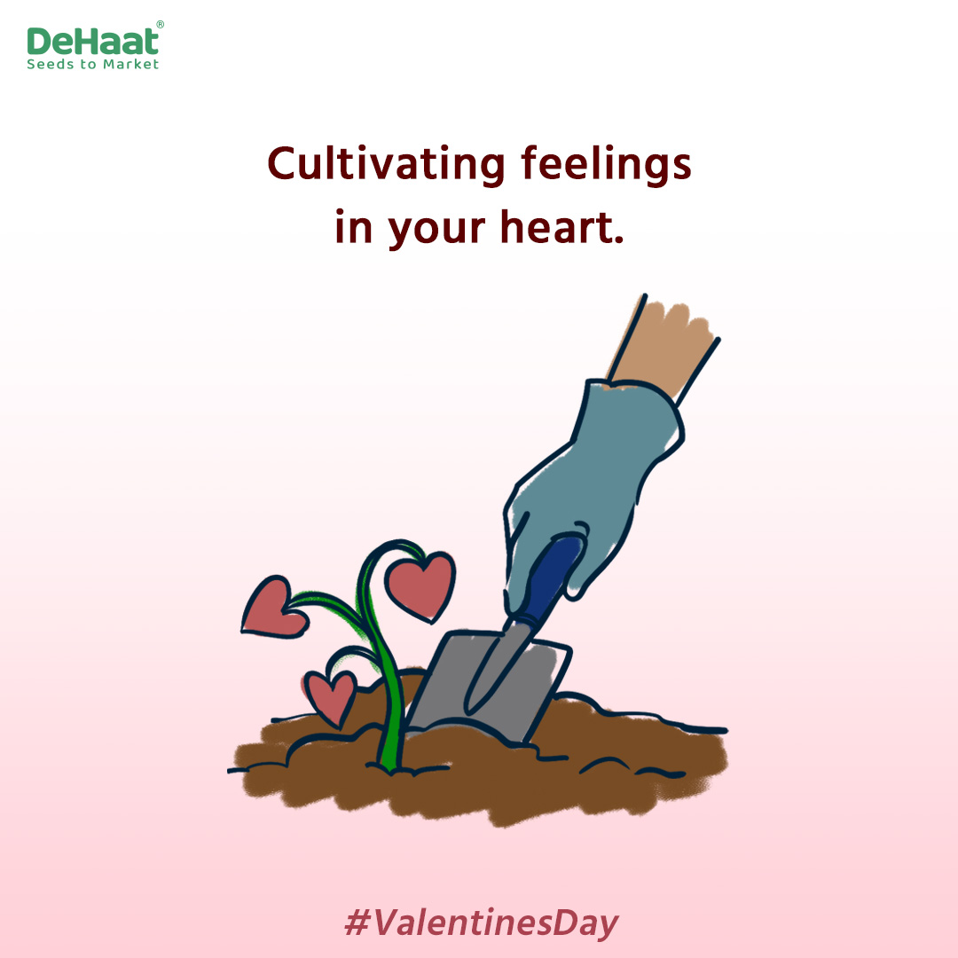 DeHaatTM's tweet photo. How #Agriculturist propose on #Valentine’s day
#ValentinesDay #February #agriexperts #agromonists #agriexperts #socialsamosa https://t.co/THrByuLMIV