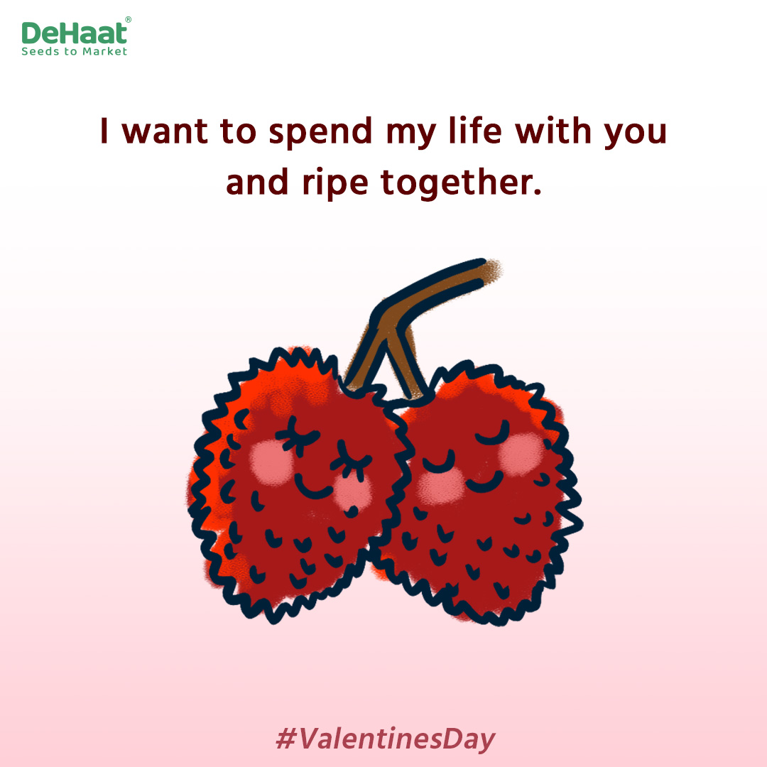 DeHaatTM's tweet photo. How #Agriculturist propose on #Valentine’s day
#ValentinesDay #February #agriexperts #agromonists #agriexperts #socialsamosa https://t.co/THrByuLMIV