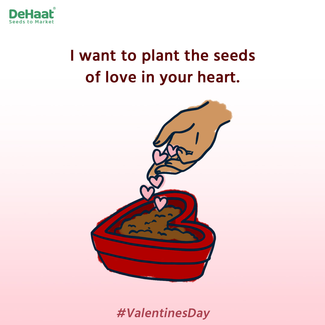 DeHaatTM's tweet photo. How #Agriculturist propose on #Valentine’s day
#ValentinesDay #February #agriexperts #agromonists #agriexperts #socialsamosa https://t.co/THrByuLMIV