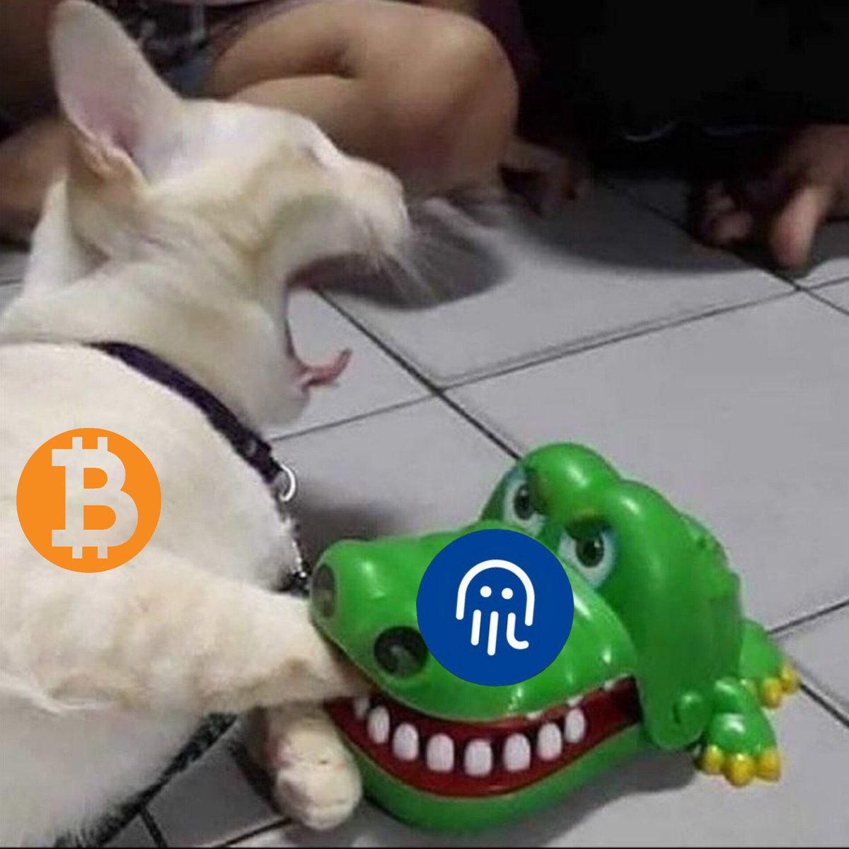 katana1801's tweet photo. OCT power 💪😎😍
@Mahan_poi @mr_wolf9 @seyed_op
#OCTMeme #oct #Octopus_network
#near #near_protcol #meme https://t.co/55OT9uyC0d