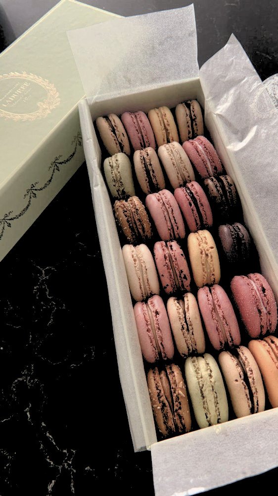 milalamove's tweet photo. love milan .ᐟ
for you, @miuqirl, @cluelaes, @qalycs, @saintIysins, @bbfszn, @ciawset, @fromzobel, @ATENlSTA, @viubill, @6randeur, @chiscaek, @gfniaya, @miurqals , @estrangehro, @cupofjoehs.

͏͏͏͏͏͏ https://t.co/HipH4BAf2Q