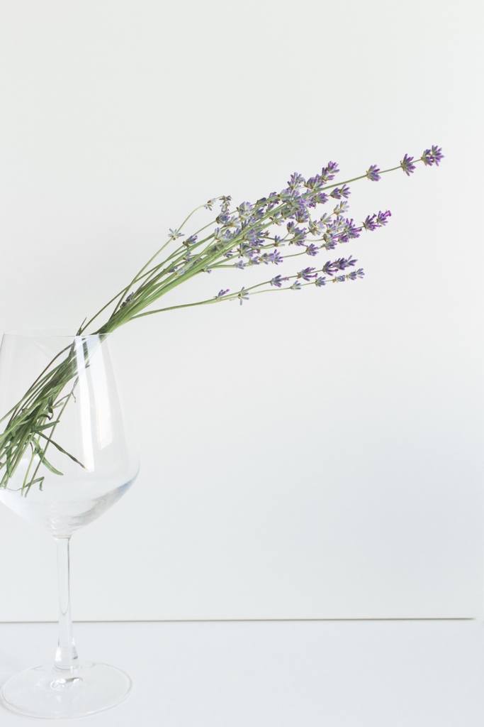 Lavender has a number of healing properties and is used in many of Aura-Soma's Equilibrium range of products.⁠
⁠
💜💜⁠
⁠
#lavender #AuraSoma #オーラソーマ #АураСома #EquilibriumBottles #VibrationalEnergy #CrystalEnergy #PlantEnergy #organicingredients #biodynamicfarming ⁠