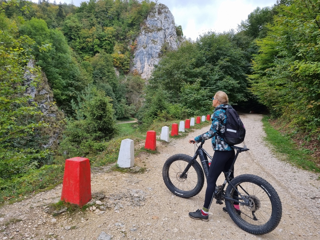 SilverbackBikes's tweet photo. The S-Electro Game Changer.
Learn More: https://t.co/l4TW1ORJyD
📸: @puhkalooduses
#SilverbackBikes #SElectro #eBikes #BornToBeFast #BestInClass #eBikeStyle https://t.co/fwylcBrOuX
