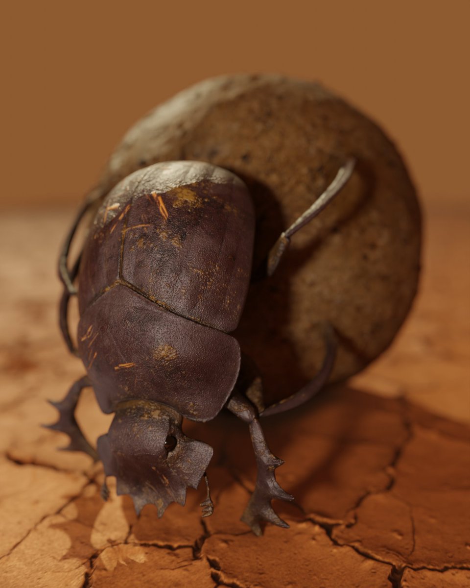 'Animated Dung beetle' by <a href="/ZackCiminera/">Zack</a> blenderartists.org/t/animated-dun… #b3d #blender3d #blenderart #blenderrender #blendercommunity