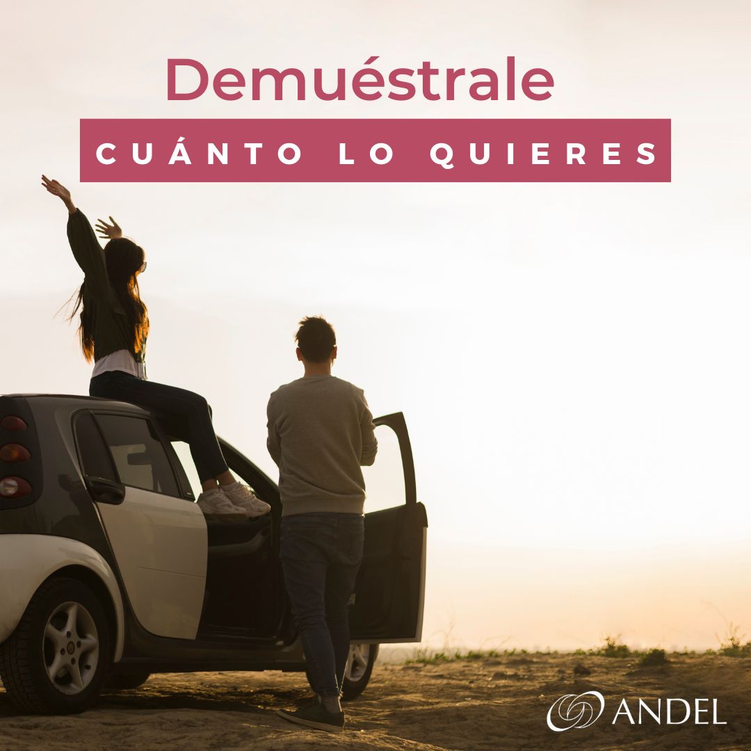 andel_auto's tweet image. Este San Valentín, demuéstrale a tu coche cuánto lo quieres confiando en la red de talleres y tiendas Andel 😍🙌

¡Para disfrutarlo juntos por mucho más tiempo! 😁

Feliz Día de San Valentín a todos ❤️

#andel #sanvalentin #andelautomocion