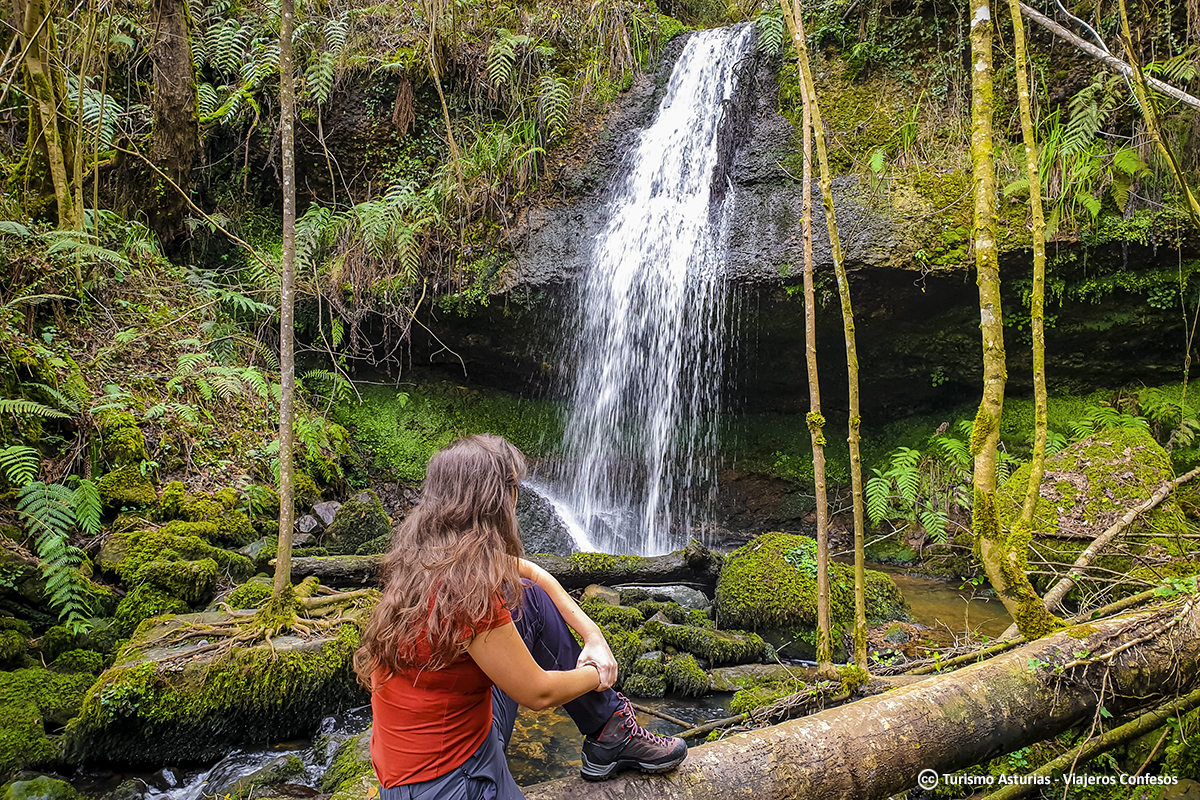 TurismoAsturias tweet media