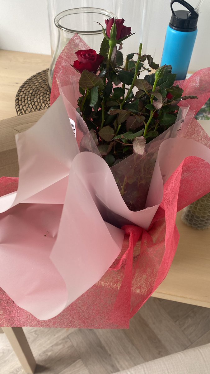 RachyBish's tweet photo. @InterfloraUK I mean….🤦🏻‍♀️ there are 3 rose heads missing!! You should be ashamed of yourself for even letting this rose plant be dispatched! https://t.co/m7qWfzko39