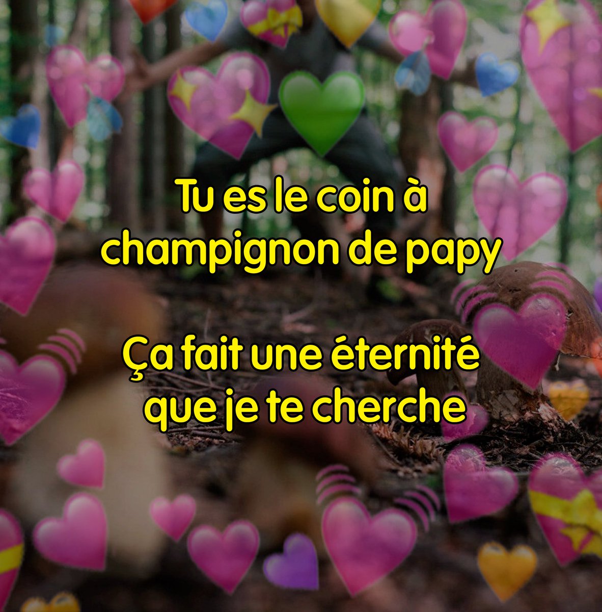 Memes Décentralisés 🥐 tweet media