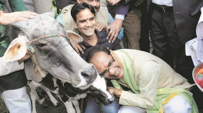 _akaanksha's tweet photo. #CowHugDay बोलने से न तो गौ-चिकित्सा होती हैं न तो गौसेवा|
इसके लिए प्रतियोगी परीक्षाओं में स्थान प्राप्त करना होता है|
फिर 5.5 साल की कठिन पढाई के बाद चिकित्सा करते हैं|
सर @ChouhanShivraj ji गौ-सेवा करनी है तो  Stipend बढ़ा दीजिए।
#increaseMPvetStipend
#increaseMPvetStipend https://t.co/XZDGCm01xZ