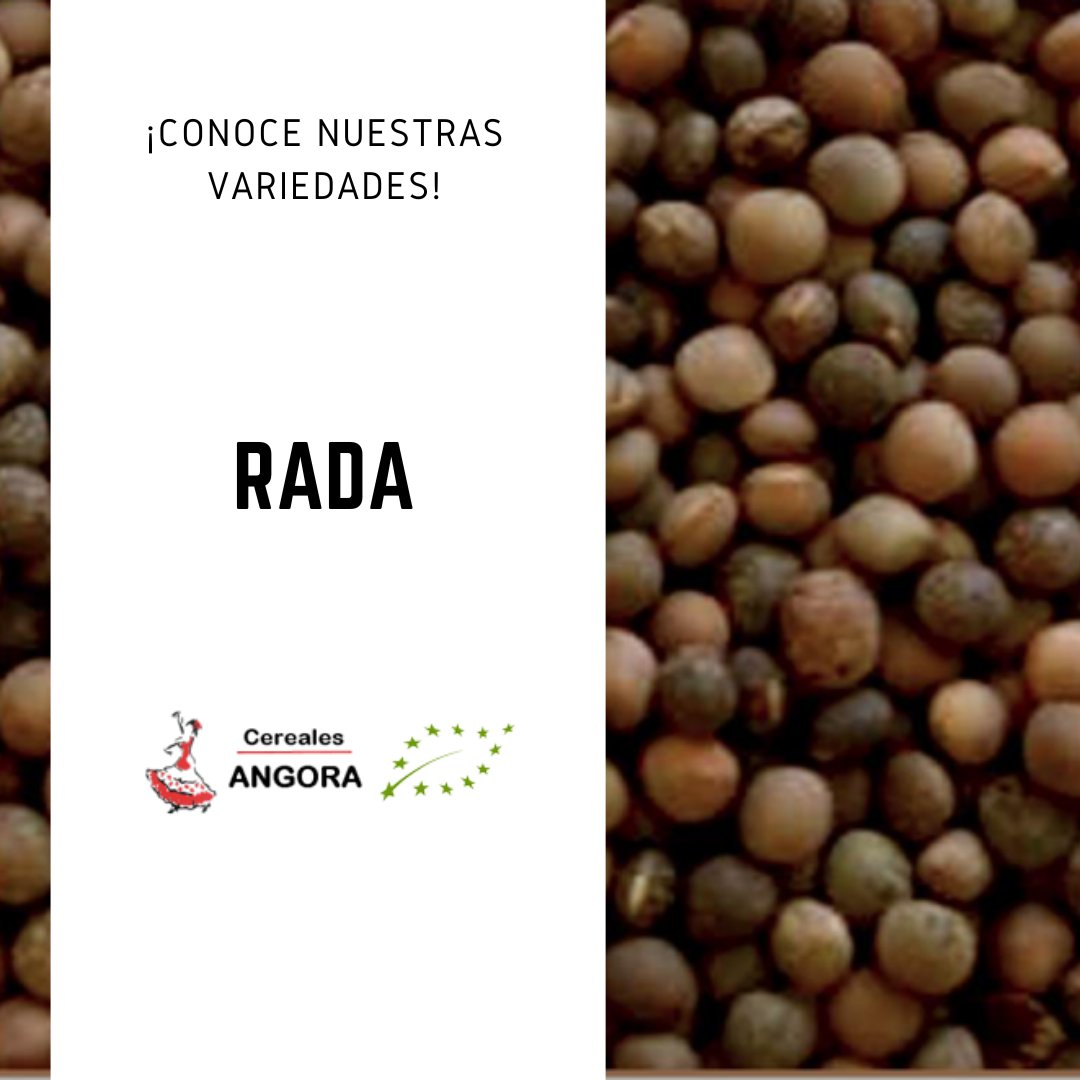 Os presentamos nuestra semilla ecológica de veza: Rada.

✔️Se caracteriza por ser muy productiva tanto para grano como para forraje y tener una floración precoz. Posee un nivel de proteína medio y mucha resistencia a enfermedades.

¡Toda la información en nuestra web!