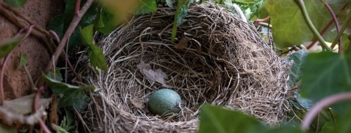 Project Giving Back tweet media