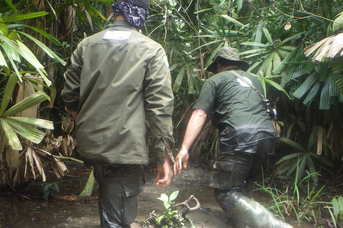 IntElephantProj's tweet photo. The #ElephantResponseUnit patrolling the forest and rivers of the #WayKambasNationalPark. Regular foot patrols are a crucial part of protecting this vital elephant habitat.
#InternationalElephantProject #IEP #SaveSumatranElephants https://t.co/LSa3zk8p32