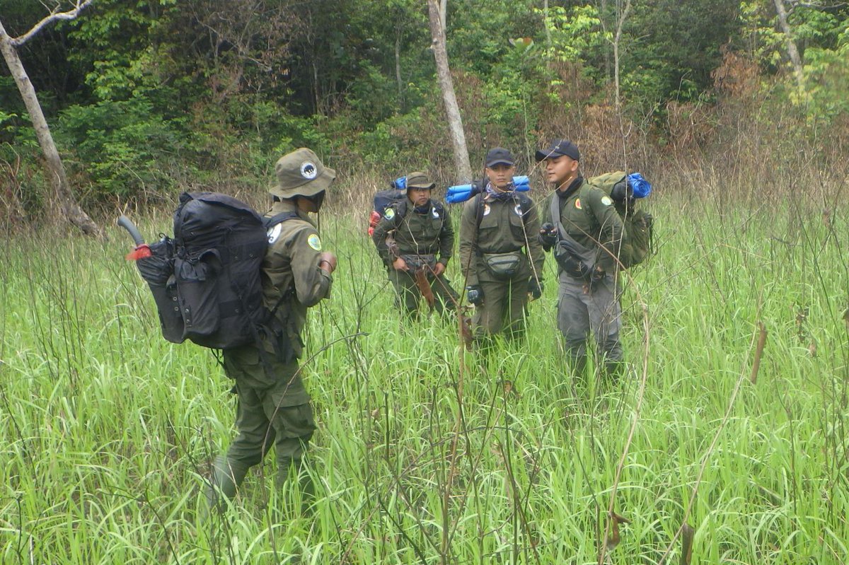 IntElephantProj's tweet photo. The #ElephantResponseUnit patrolling the forest and rivers of the #WayKambasNationalPark. Regular foot patrols are a crucial part of protecting this vital elephant habitat.
#InternationalElephantProject #IEP #SaveSumatranElephants https://t.co/LSa3zk8p32
