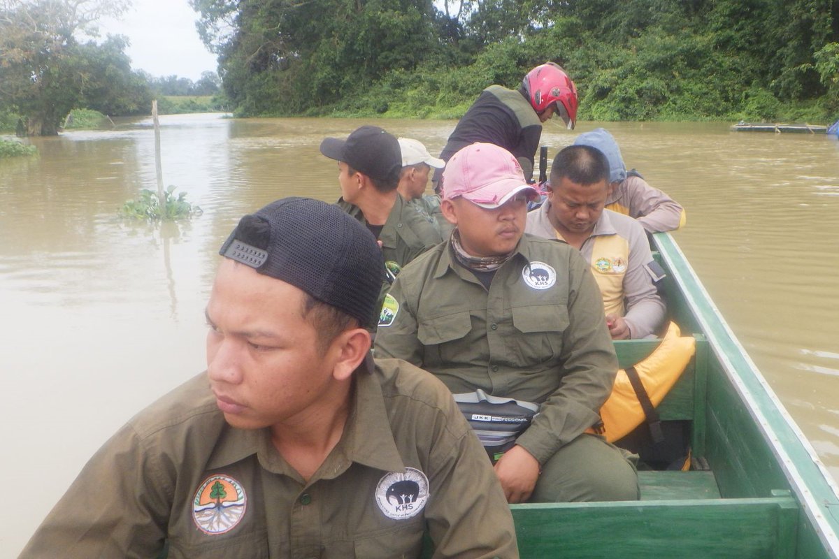 IntElephantProj's tweet photo. The #ElephantResponseUnit patrolling the forest and rivers of the #WayKambasNationalPark. Regular foot patrols are a crucial part of protecting this vital elephant habitat.
#InternationalElephantProject #IEP #SaveSumatranElephants https://t.co/LSa3zk8p32