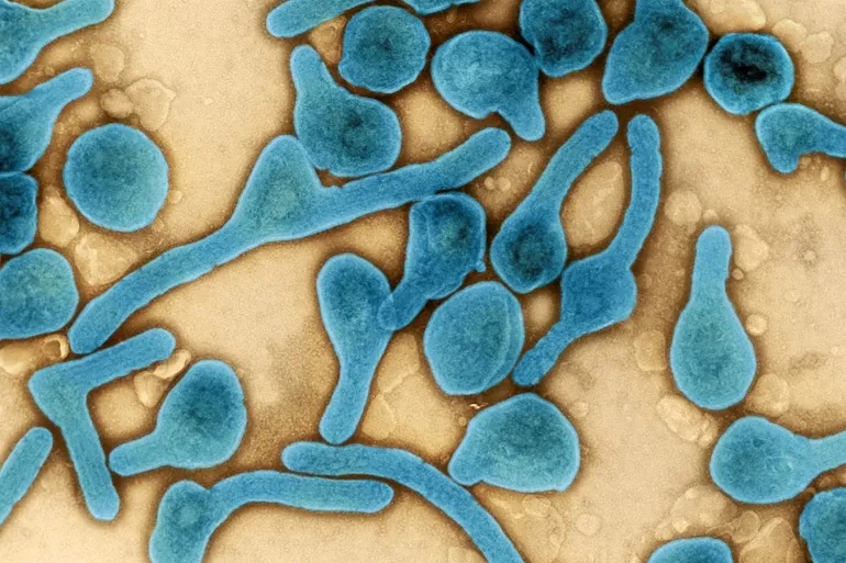 CEO of Great Innovus tweet media