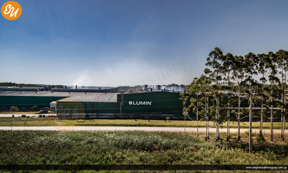EmpresasdelUY's tweet photo. Lumin invertirá US$ 136 millones en una nueva planta de plywood en Uruguay
#empresasdeluruguay

https://t.co/gFpJfwiUa8 https://t.co/MfvninlvAO
