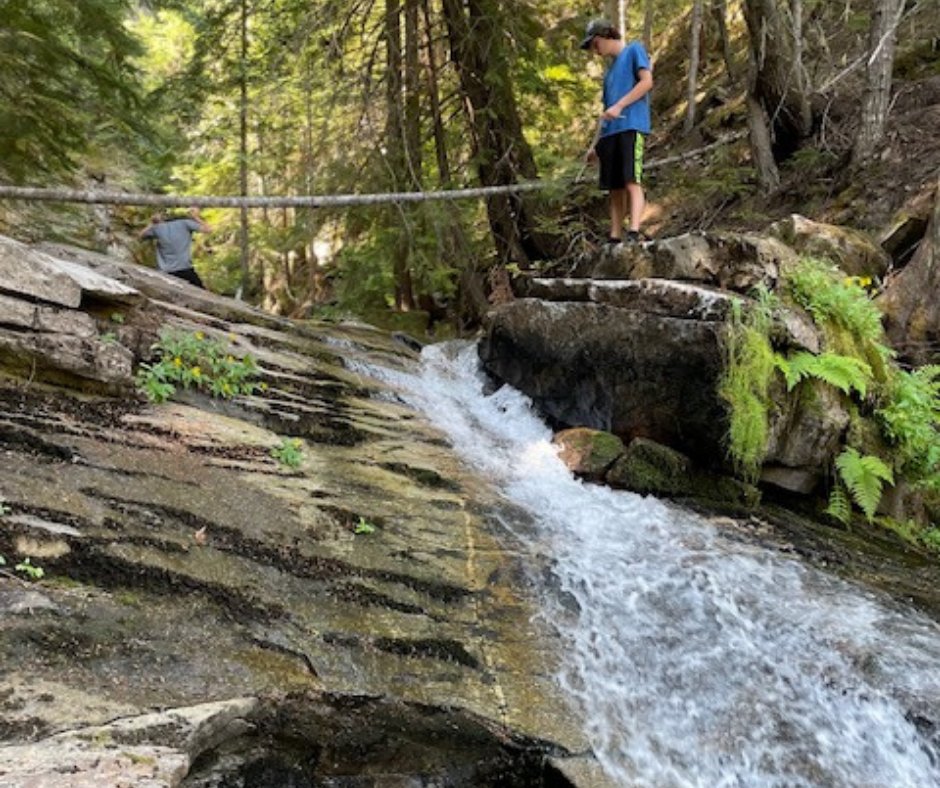 EchoSprings_ID's tweet image. “There is a hidden message in every waterfall. It says, if you are flexible, falling will not hurt you.”
― Mehmet Murat Ildan
   🌞🌈🌊

#echosprings #echospringstransitionstudycenter  #freshstartforyoungadults #findyourpath #empoweringyoungadults