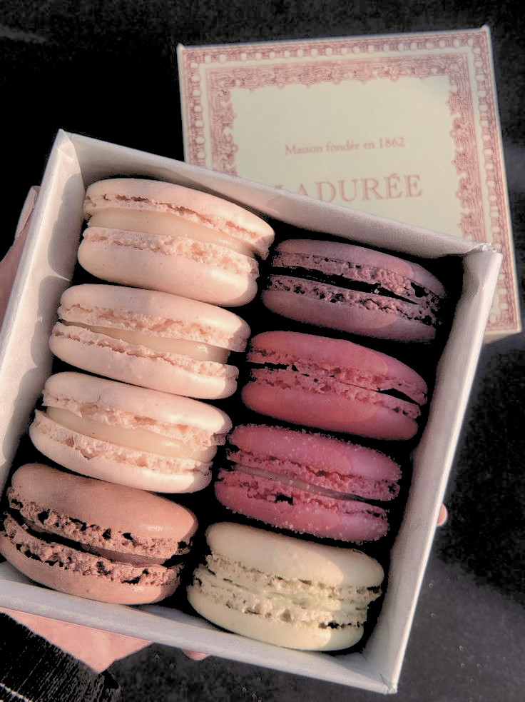 milalamove's tweet photo. ͏͏͏͏͏͏
love milan .ᐟ
for you, @userethereal.
‣  happy valentines day, piper! always remember that you are loved and appreciated. have a nice day!

͏͏͏͏͏͏ ͏͏͏͏͏͏
͏͏͏͏͏͏ https://t.co/8r6Dhtzmys