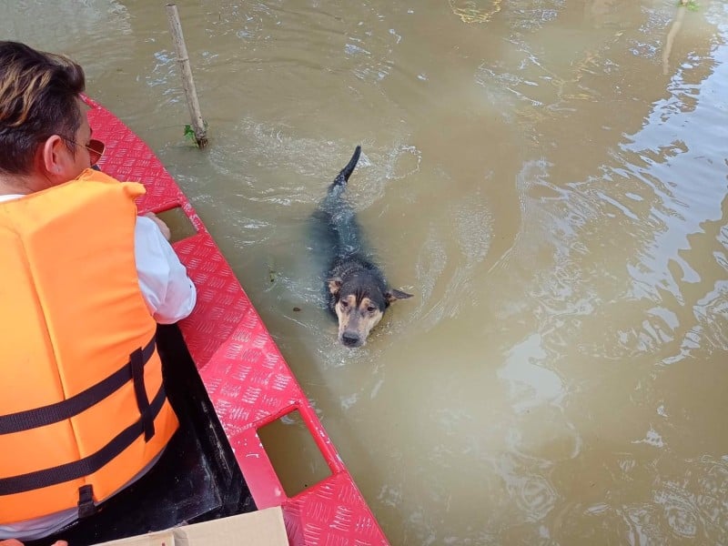 To <a href="/guidedogs/">Guide Dogs</a> we 💕 how you provide life-changing support, skills and dogs to people living with sight loss. But while you bank with <a href="/Barclays/">Barclays Bank</a> you're funding #ClimateBreakdown - Take the 'lead' this #ValentinesDay and #BreakUpWithBarclays