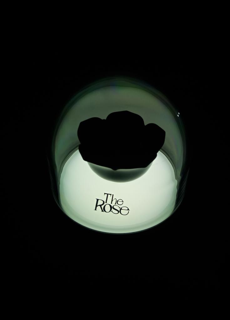 aaaccckkkk! My the rose lightstick finally came home! 🖤🥀 thank you so much <a href="/catbestiesmnl/">cat besties | rest</a> for securing my lightstick! 🫶🥰

 #gomeowobestie