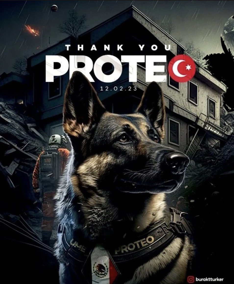 kopekist's tweet photo. Yüzlerce insanın kahramanları.. https://t.co/H7DaiwVENQ