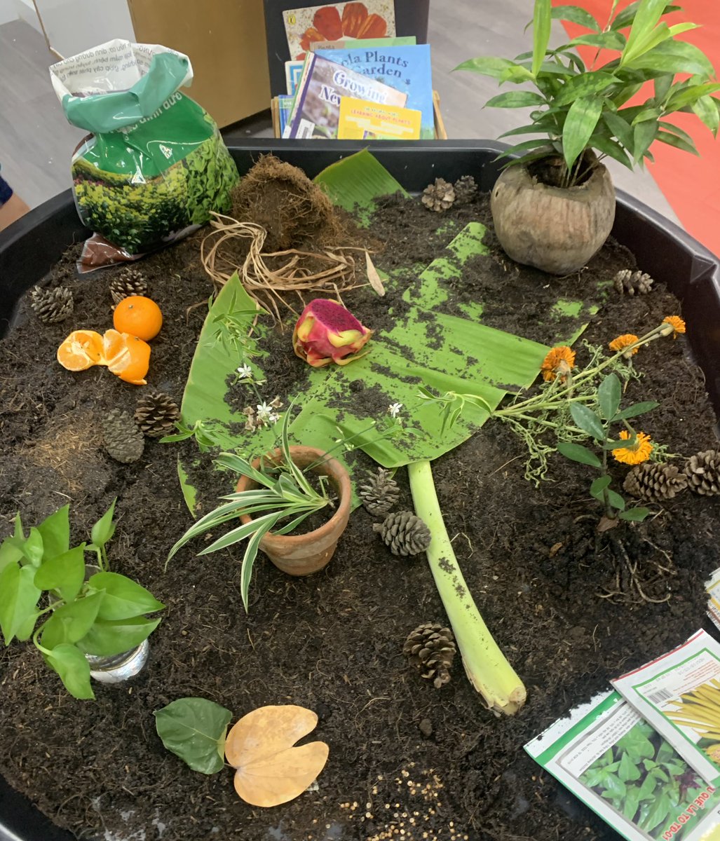 IshhkH's tweet photo. Starting our wonderings for our new UOI in EY. We make sure we leave our provocations for a whole week; time to view, discuss, draw and then get messy in. #takeyourtime #invitewonder #EY #sharingtheplanet @ampaolagonzalez @ISHCMC https://t.co/5zDypeqOQA
