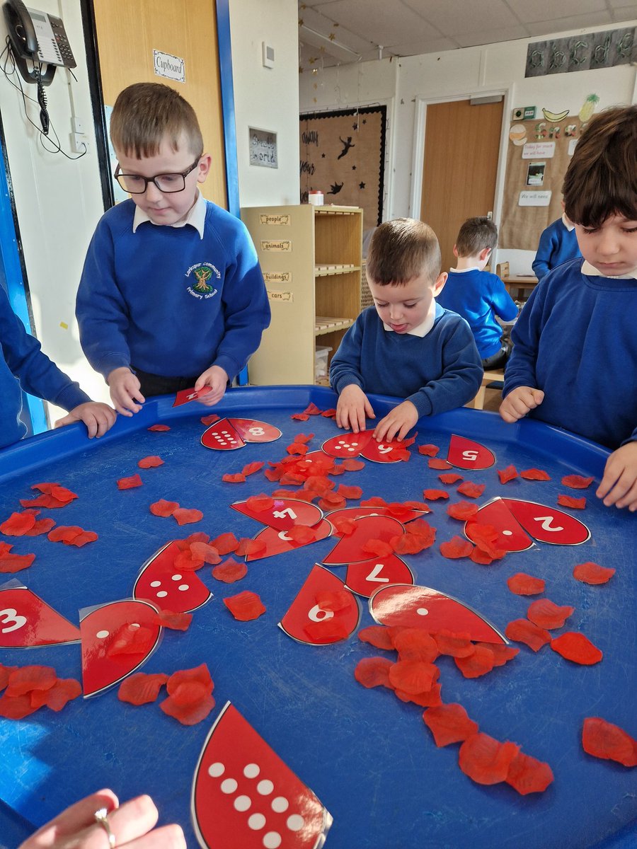 Larkspur Primary tweet media