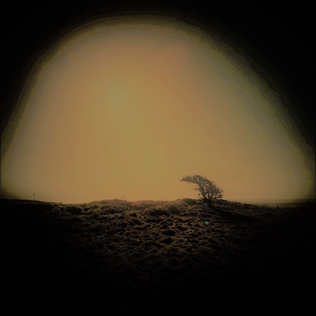 djohnhopper's tweet photo. Strange thing happened to me this morning. Standing beside a hawthorn I saw a tall, immensely thin, dark figure. This figure had no features that I could see, no animation, but I felt that it was staring fixedly at me...
More at: https://t.co/MYjaaafCMg
#strangeevent #cornwall https://t.co/Frbj8Fkvop