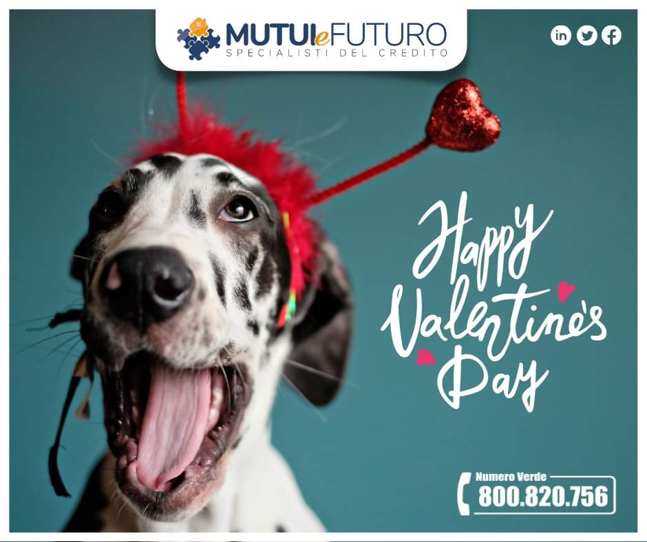 MutuieFuturo's tweet photo. 💖 Buon San Valentino da Mutui e Futuro 💖 https://t.co/UYjRVoyhe1