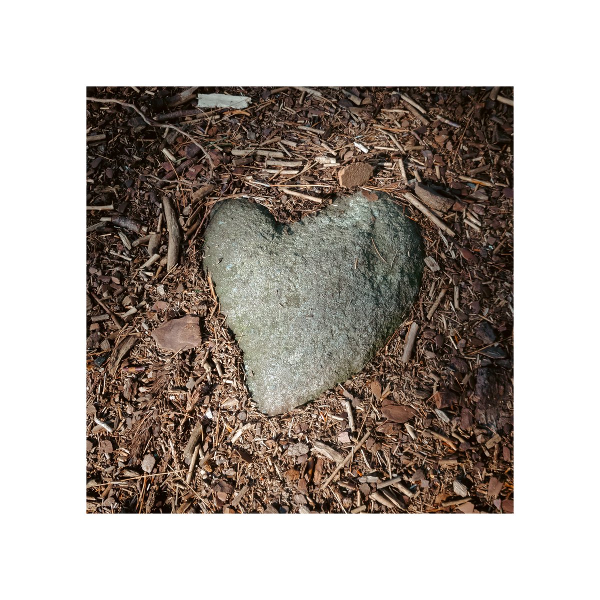 Stalsomething's tweet photo. Happy Valentines Day!
#ThePhotoHour #GooglePixelPhotography https://t.co/Bnzdxt8ggh