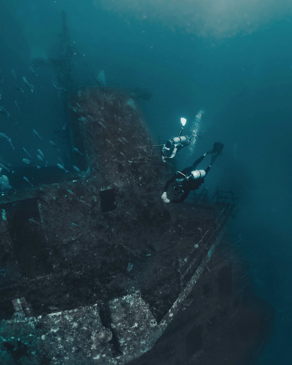 stephenjaynsley's tweet photo. Find yourself a forever buddy. Happy Valentine's Day SCUBA lovers
#padi @PADI #ValentinesDay #happyvalentinesday #roatan #wreckdiver #wreckdiving #scuba #scubadiving https://t.co/oQ76k7Mtaw