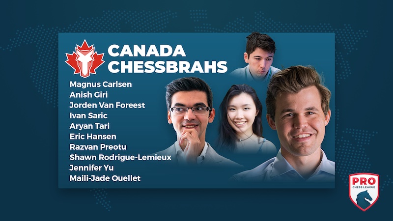 chess24.de tweet media