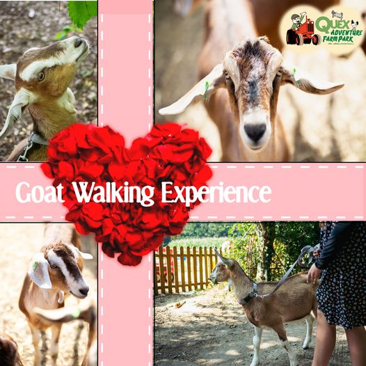 Quex Park tweet media