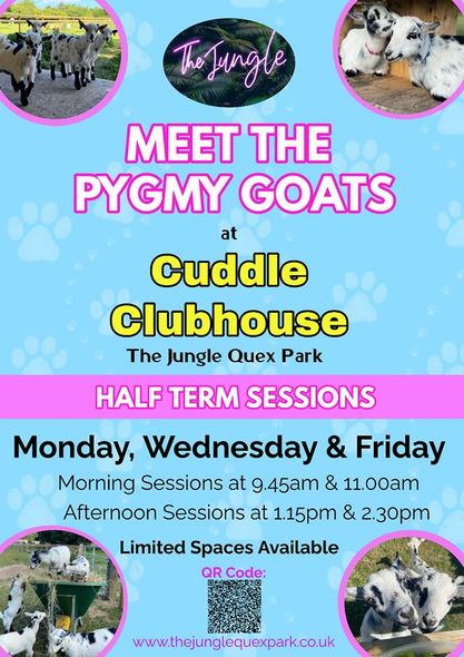 Quex Park tweet media