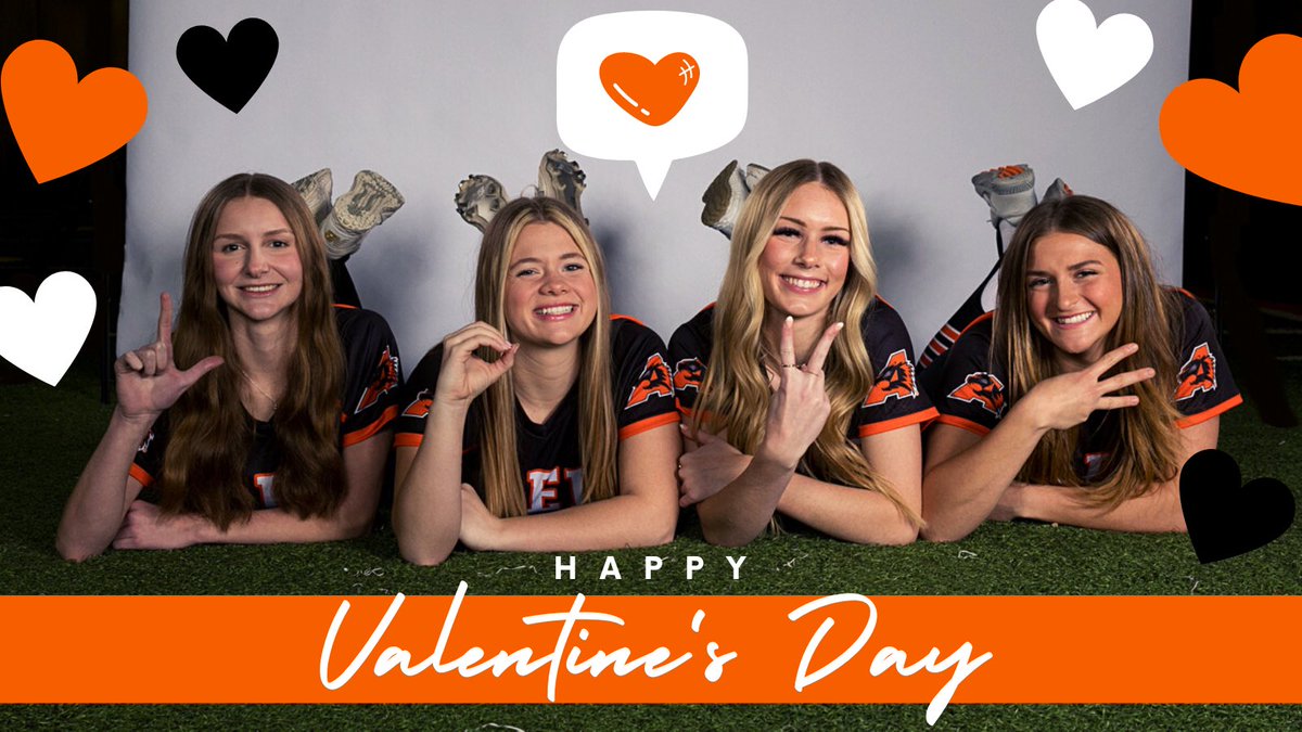 Ladycat Softball tweet media