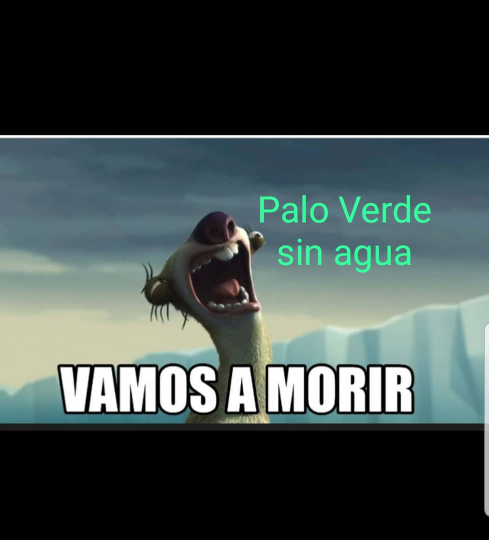accionvecino's tweet photo. Martes SIN AGUA sometidos a un RACIONAMIENTO salvaje 
Palo Verde Municipio Sucre Parroquia Petare Edo. Miranda 
@HidroCapital2 @HectoRodriguez @JoseVRangelA @RMarcoTorres @harolclemente https://t.co/aqgEOjazVZ