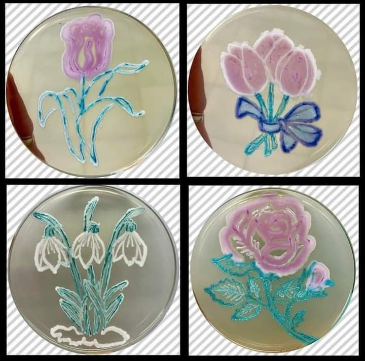 mundo_micro_bio's tweet photo. #happyvalentinesday
#agart
#FelizSanValentin
Photo credit: Medical laboratory assistants from the department of microbiology at the Medical University of Pleven https://t.co/Tq9woovszo