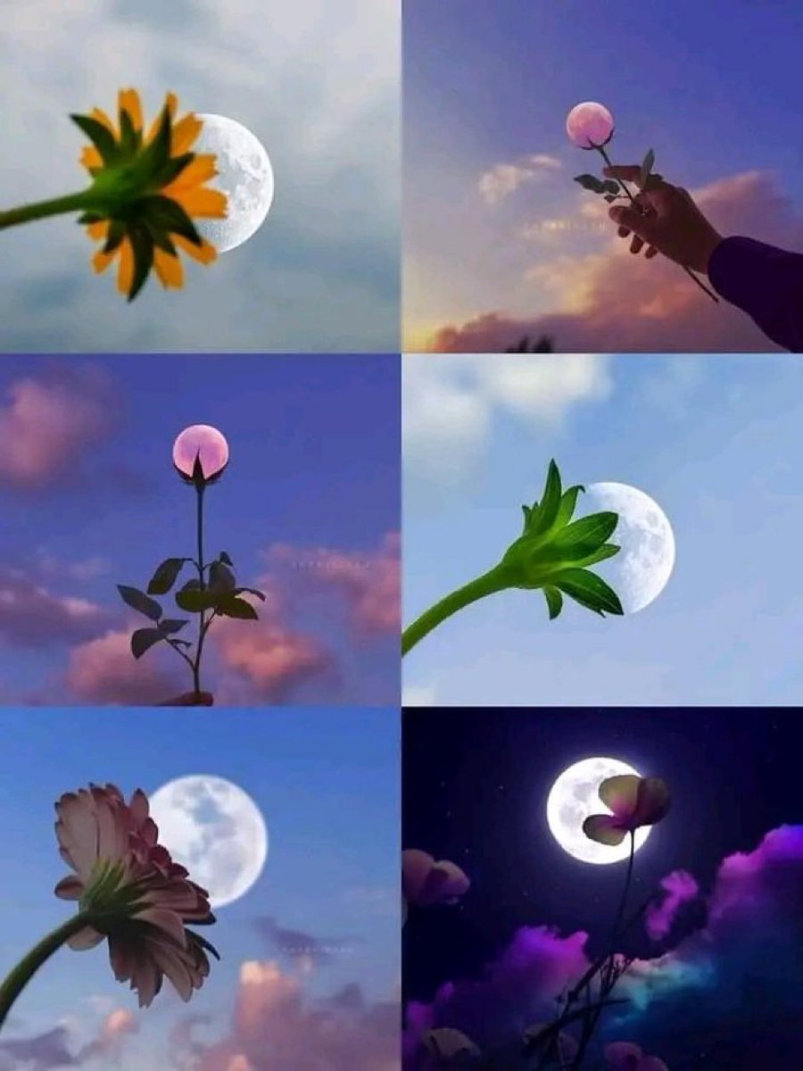 M1ONLOVER's tweet photo. moon is everywhere https://t.co/v6rxhMFABR