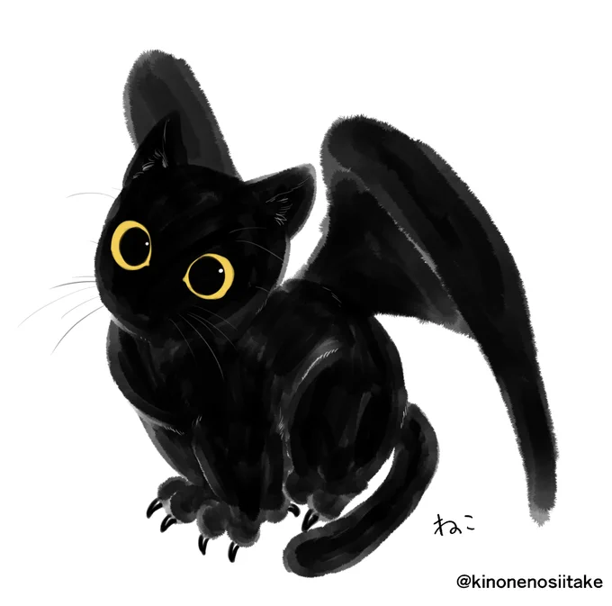 ねこ 