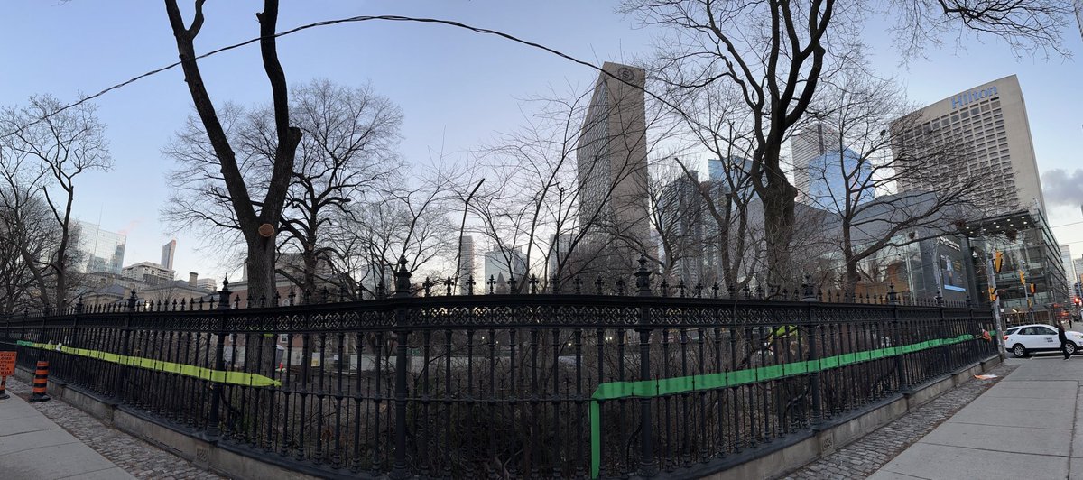 Petervencap's tweet image. Butchering 200 year old trees for the ⁦@OntarioLine⁩