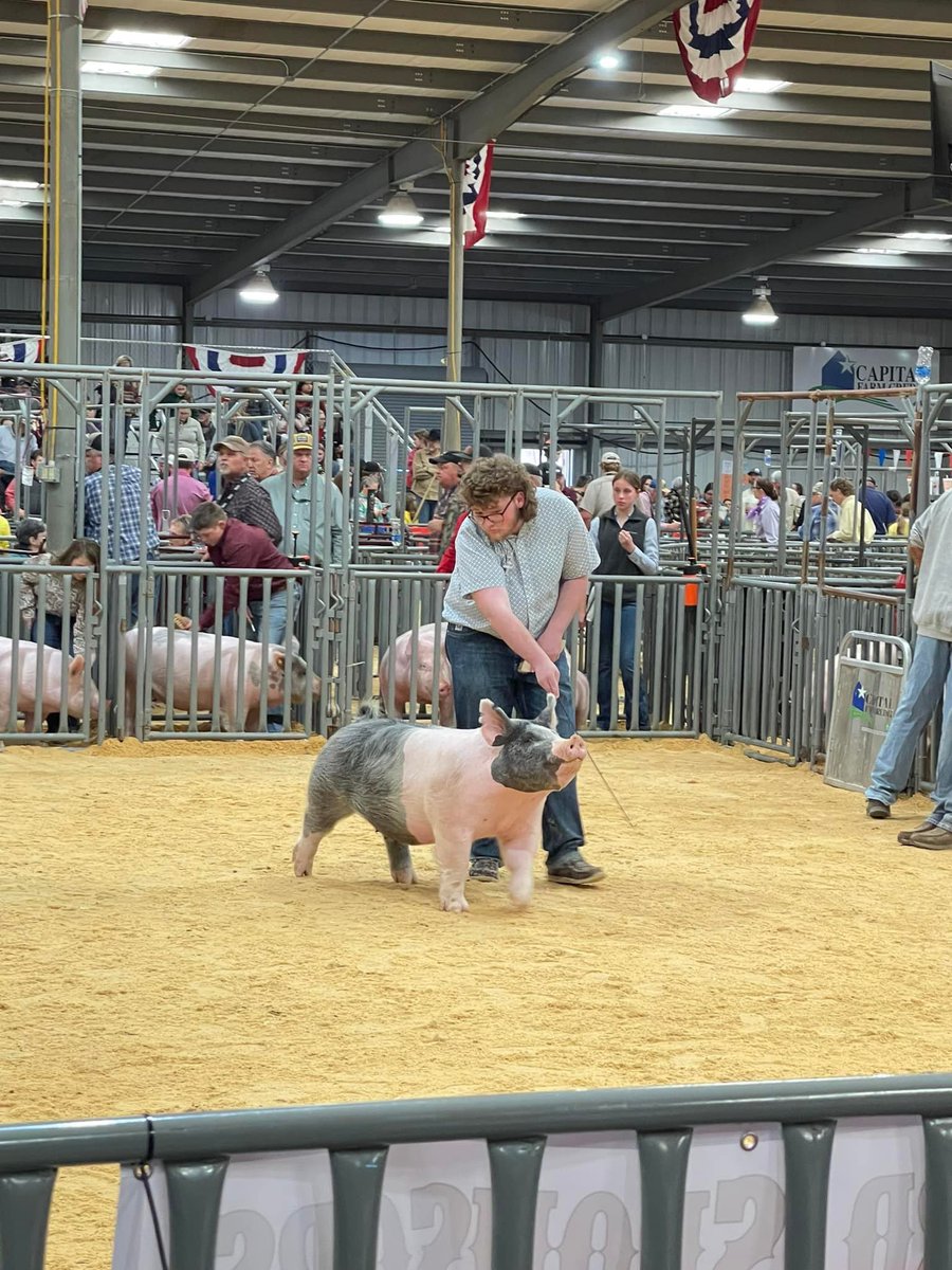San Angelo was a great time with lots of superb showmanship skills shown off and some quality animals being shown. Congrats to Kylie Mikes on her 3rd place cross and making a sale slot!! @GeorgetownISD @Mr_B_Johnson @DavinVogler @CTEShrek