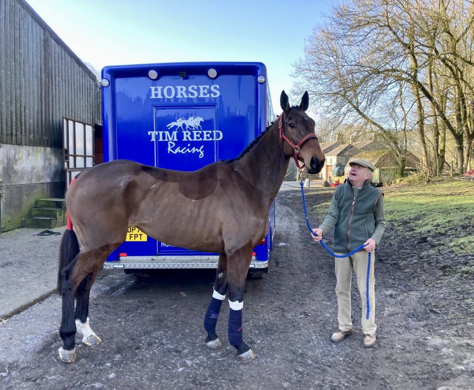 timreedracing's tweet photo. Our big beautiful Annie (Another Park) heads to @ayrracecourse today in the bumper for Paul Davies &amp; Ken Huddleston under @harryreed8 https://t.co/vjHzDEXj4g